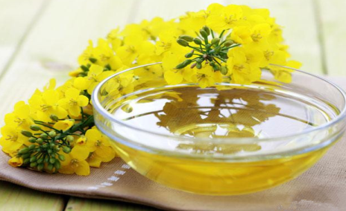 菜油期貨手續(xù)費(fèi)標(biāo)準(zhǔn)，怎么降低菜油