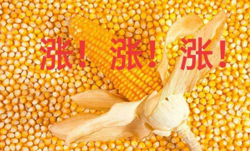 玉米期貨開戶要驗資嗎？為何不能買