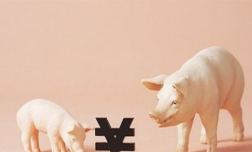 一手生豬期貨交易成本要多少錢？保