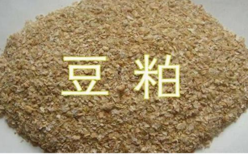 期貨豆粕和菜粕的關(guān)聯(lián)性，菜粕豆粕